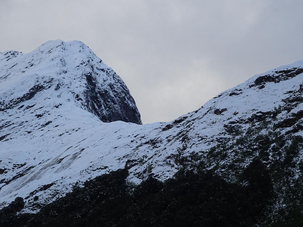 314 - 20150204 Milford Track