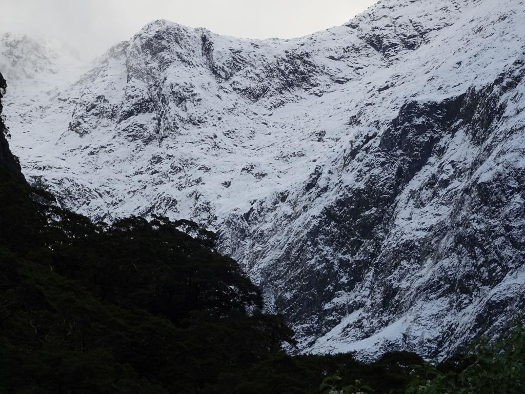 315 - 20150204 Milford Track