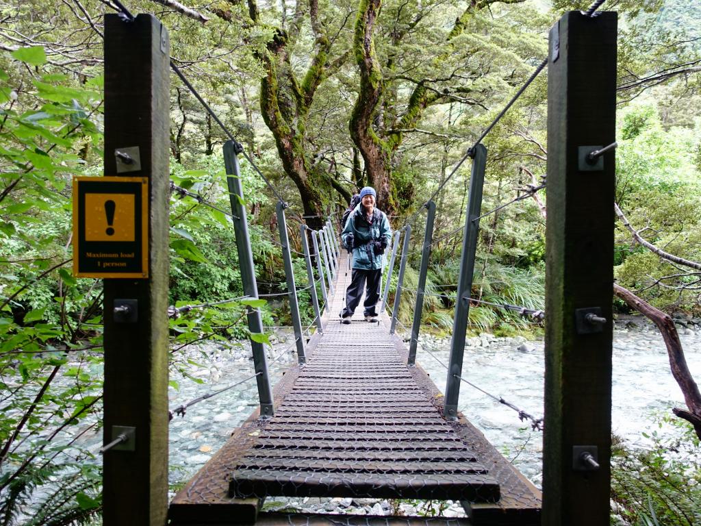 335 - 20150204 Milford Track