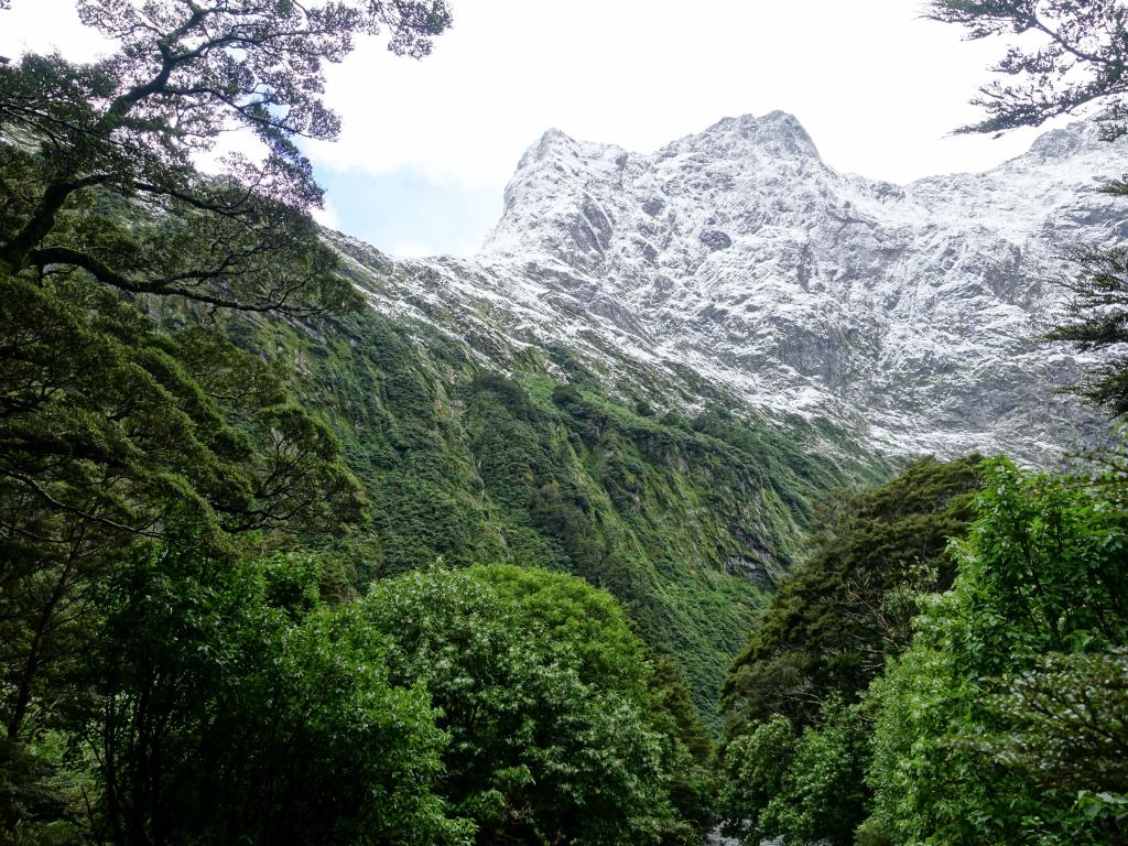 336 - 20150204 Milford Track