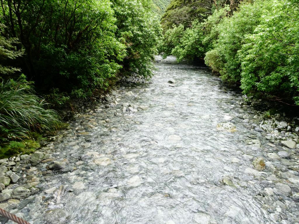 337 - 20150204 Milford Track