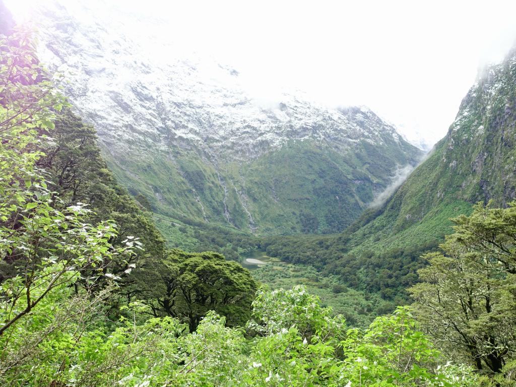 340 - 20150204 Milford Track