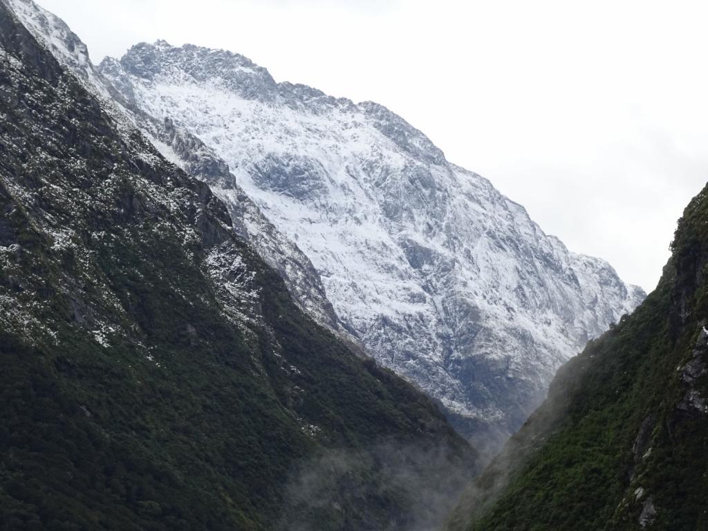 343 - 20150204 Milford Track