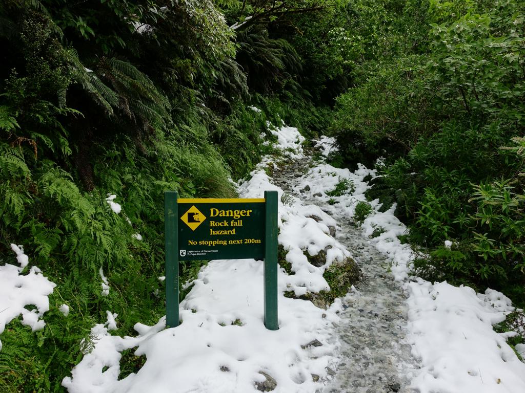 345 - 20150204 Milford Track