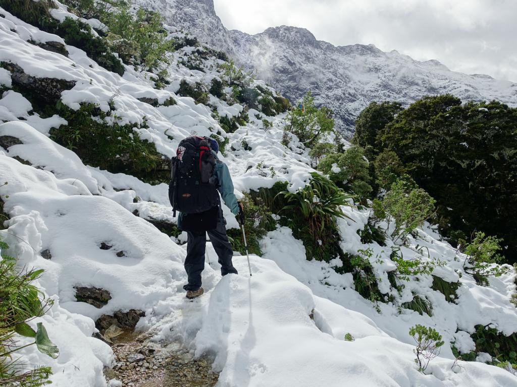 348 - 20150204 Milford Track