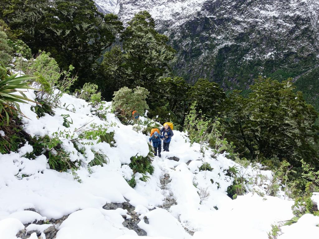 349 - 20150204 Milford Track