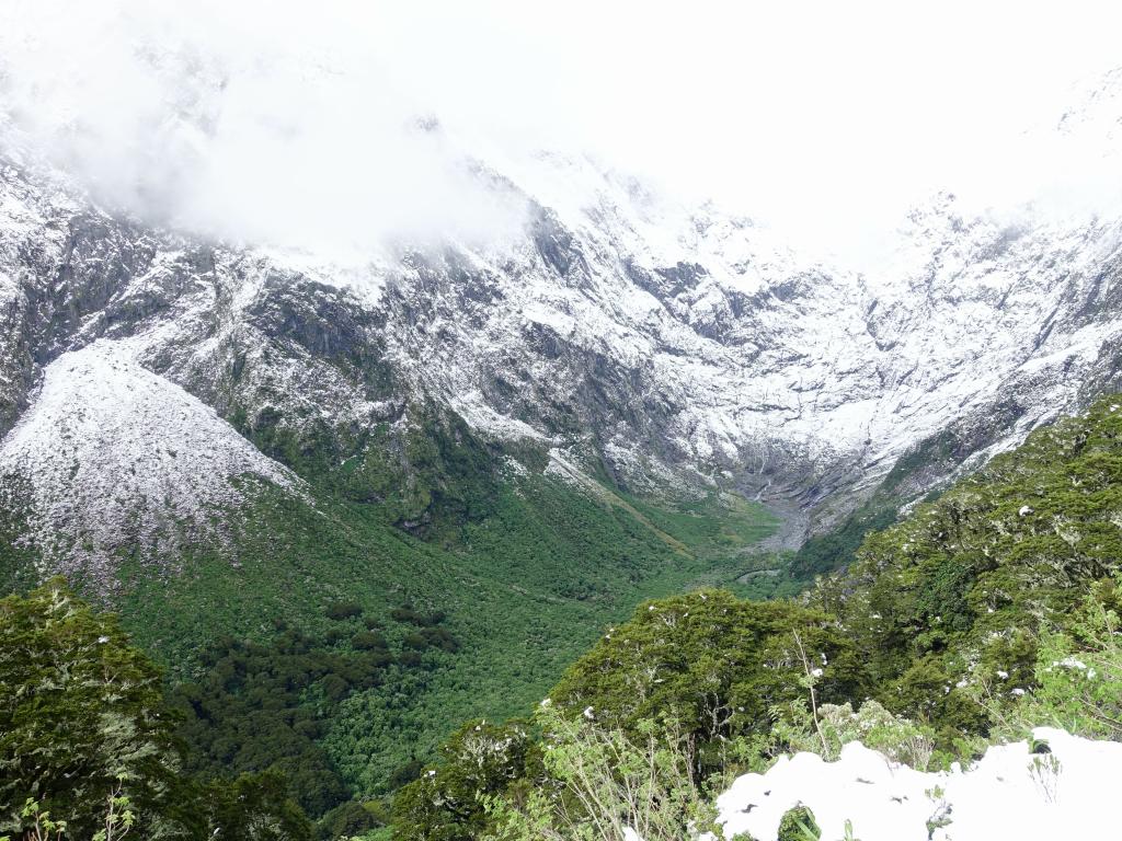 350 - 20150204 Milford Track