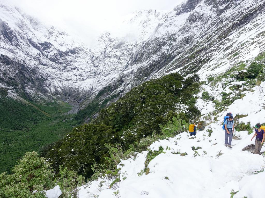 351 - 20150204 Milford Track