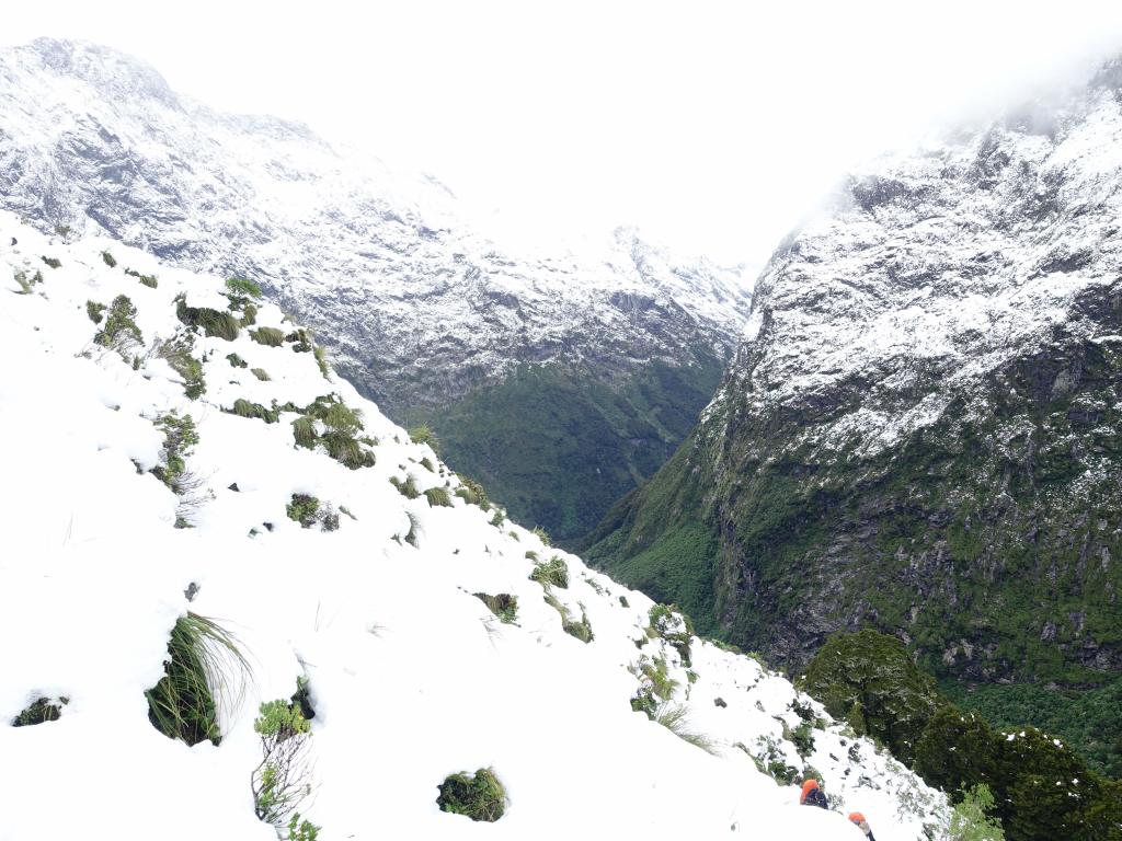 352 - 20150204 Milford Track