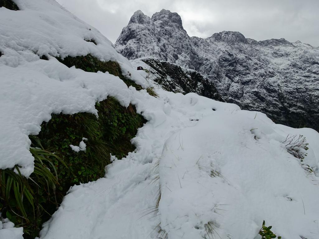 355 - 20150204 Milford Track