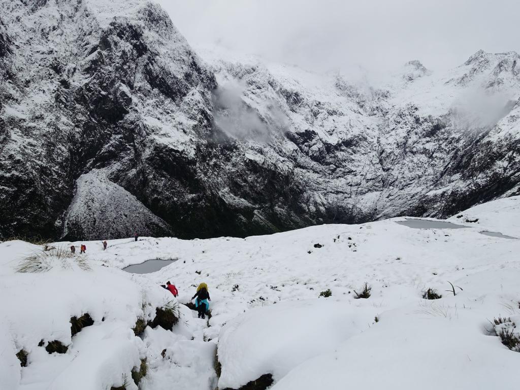 356 - 20150204 Milford Track