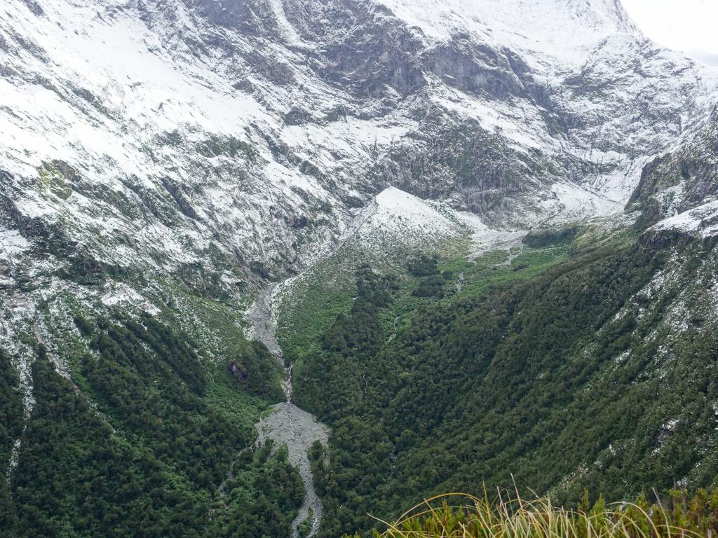 365 - 20150204 Milford Track