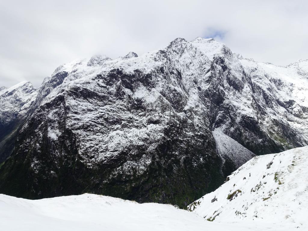 409 - 20150204 Milford Track