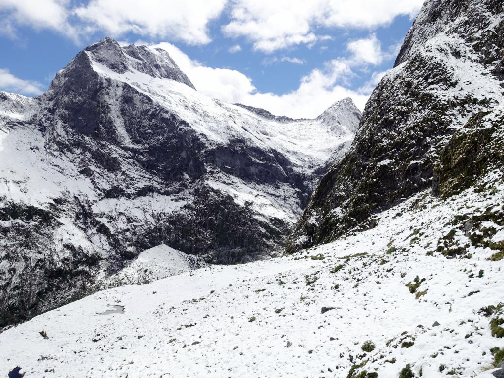 416 - 20150204 Milford Track