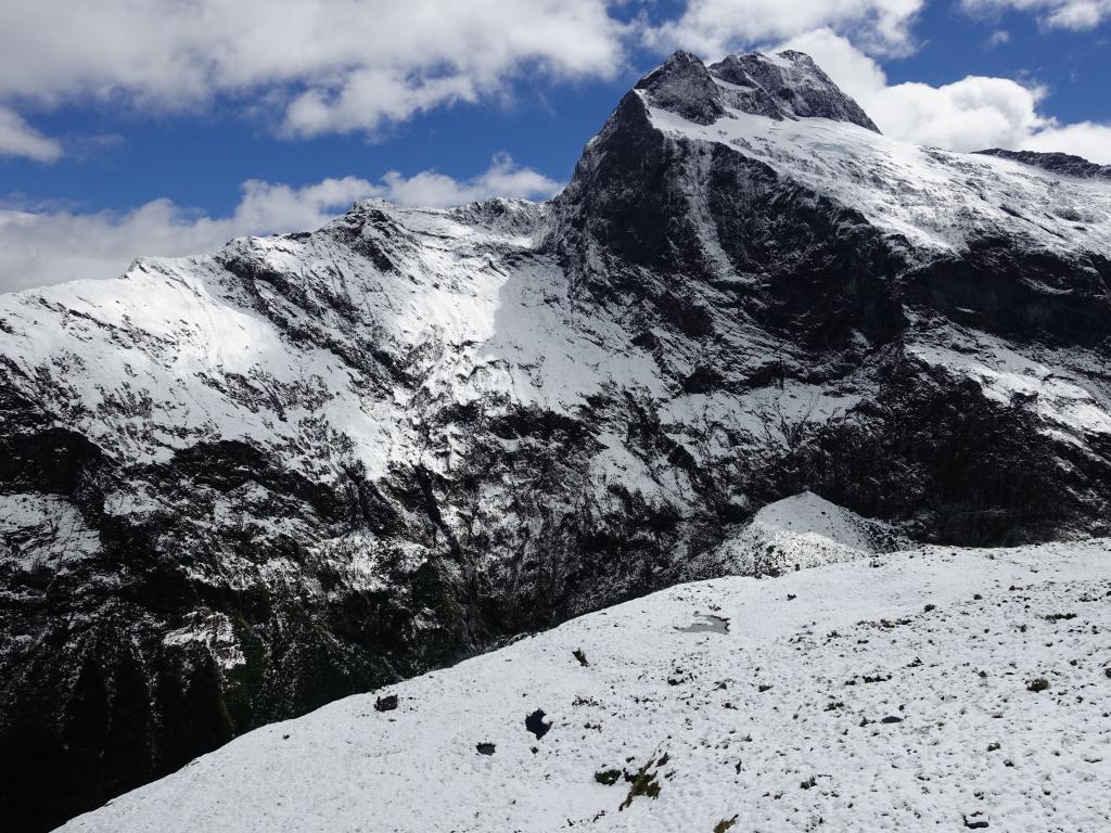 417 - 20150204 Milford Track