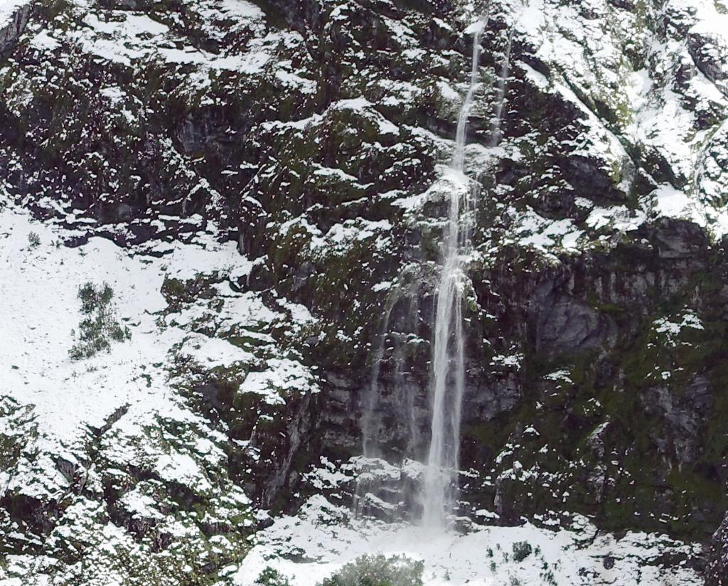 419 - 20150204 Milford Track