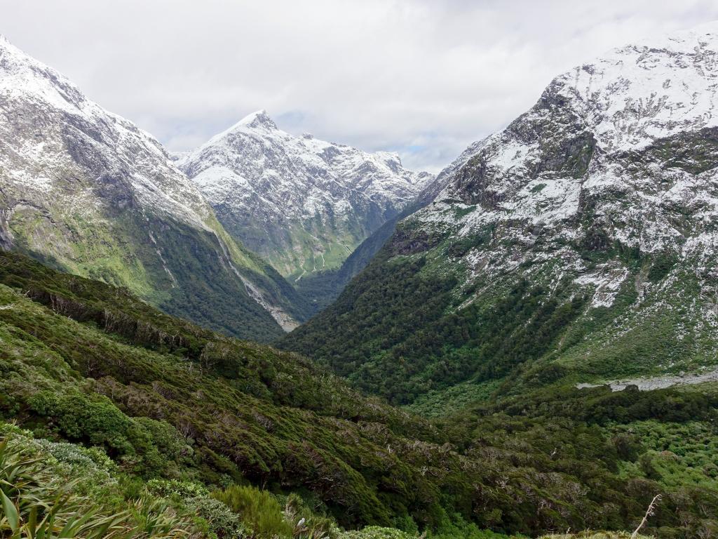 428 - 20150204 Milford Track