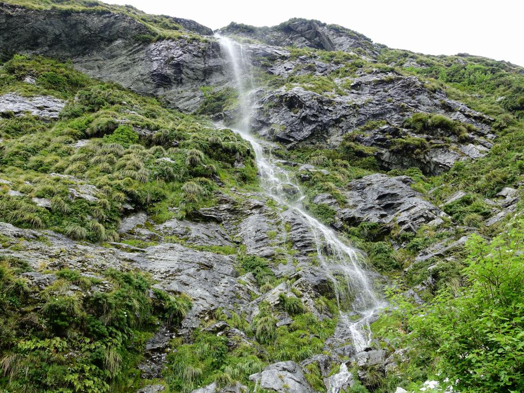 430 - 20150204 Milford Track