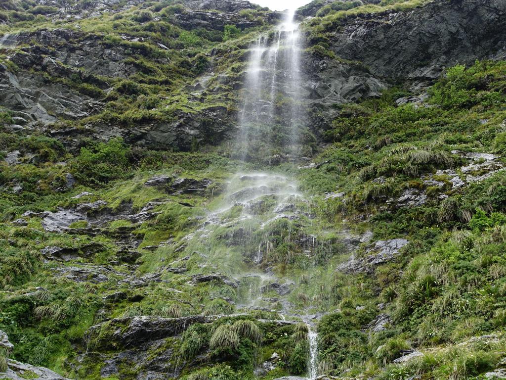 432 - 20150204 Milford Track