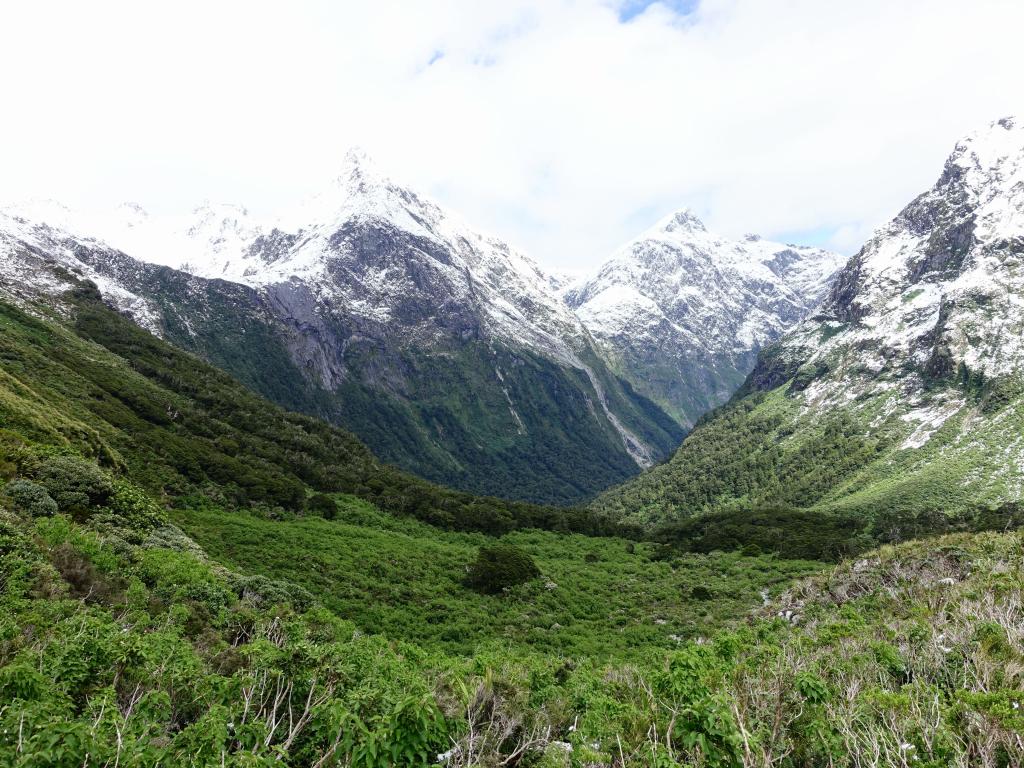 438 - 20150204 Milford Track