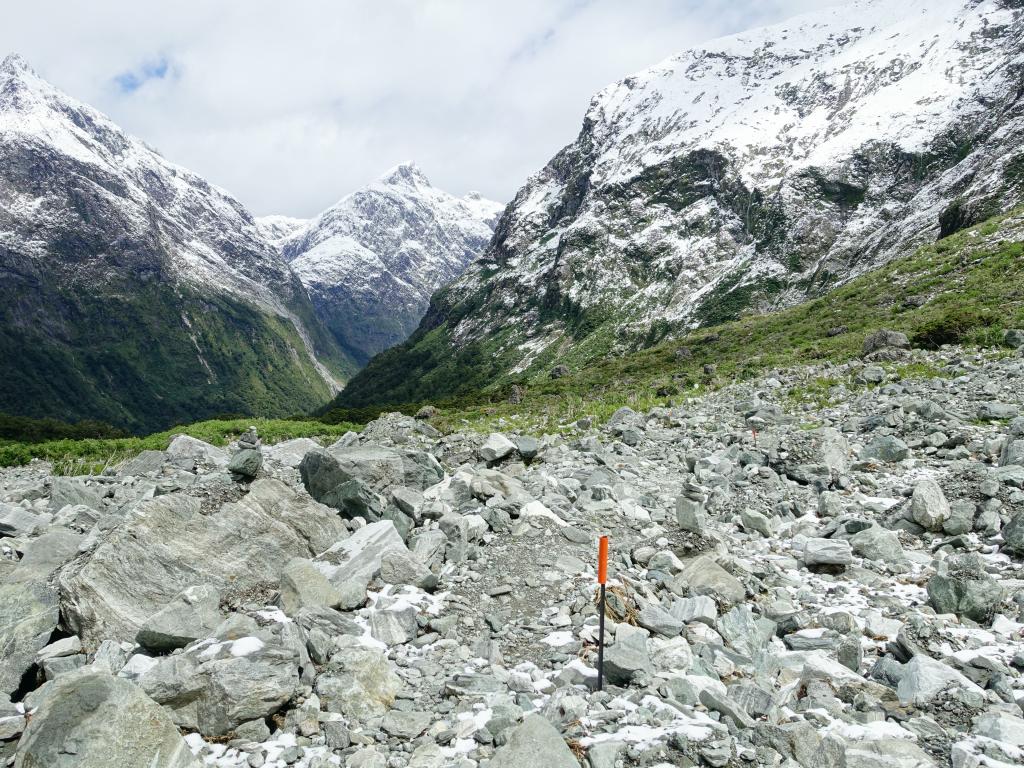 445 - 20150204 Milford Track