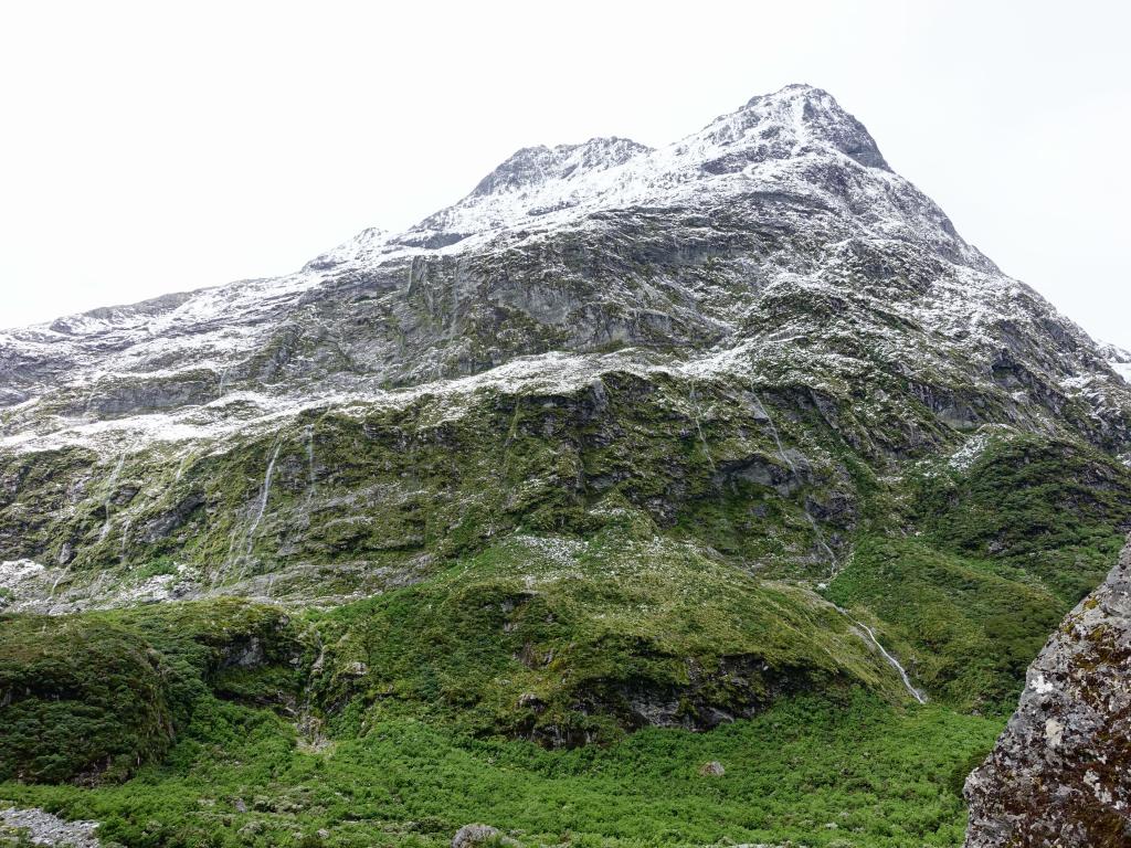 446 - 20150204 Milford Track