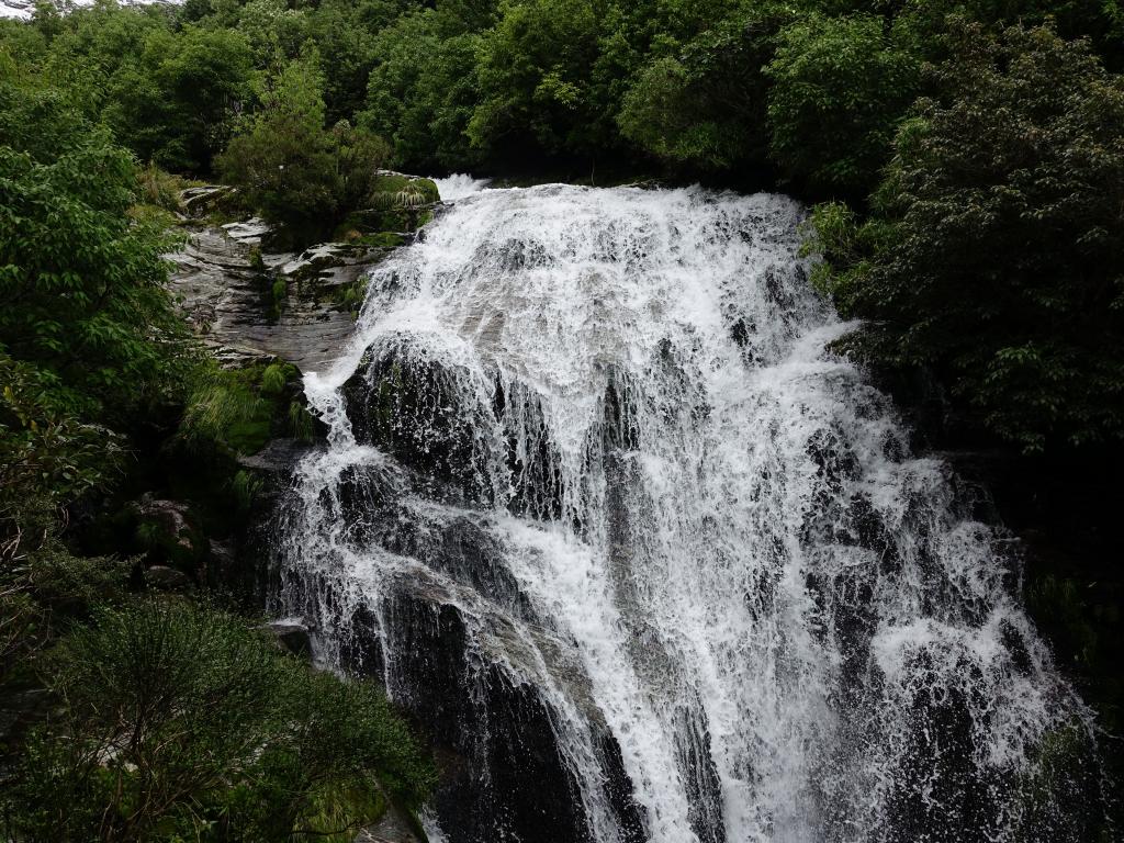 449 - 20150204 Milford Track