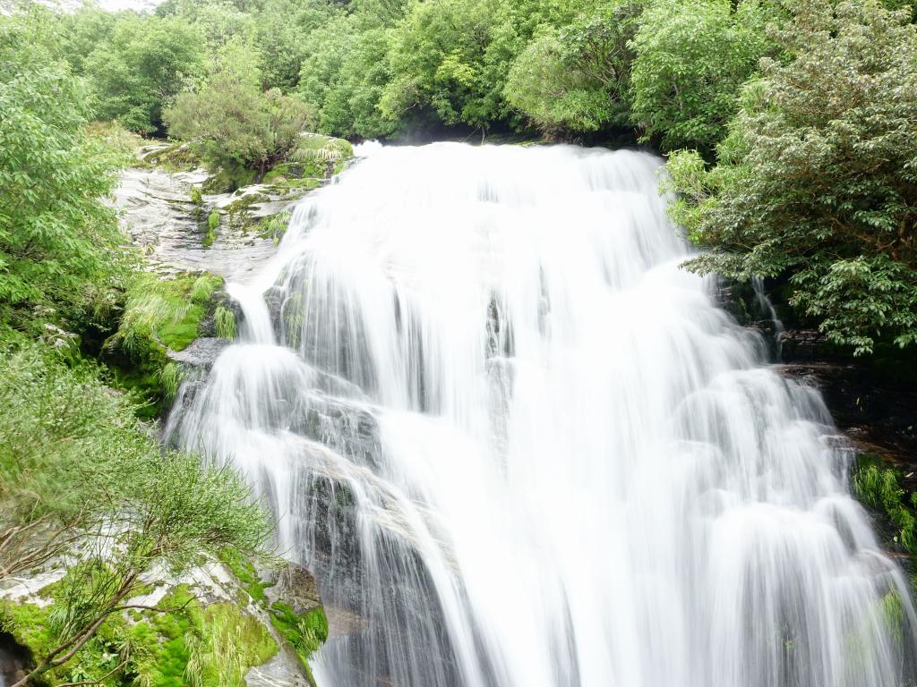 451 - 20150204 Milford Track