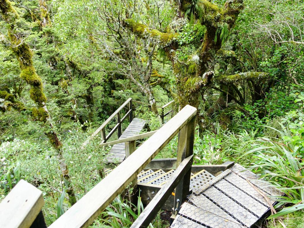 452 - 20150204 Milford Track