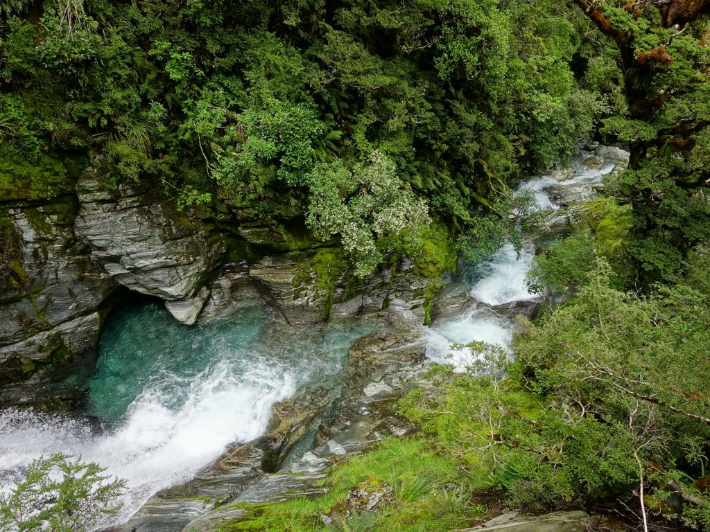 455 - 20150204 Milford Track