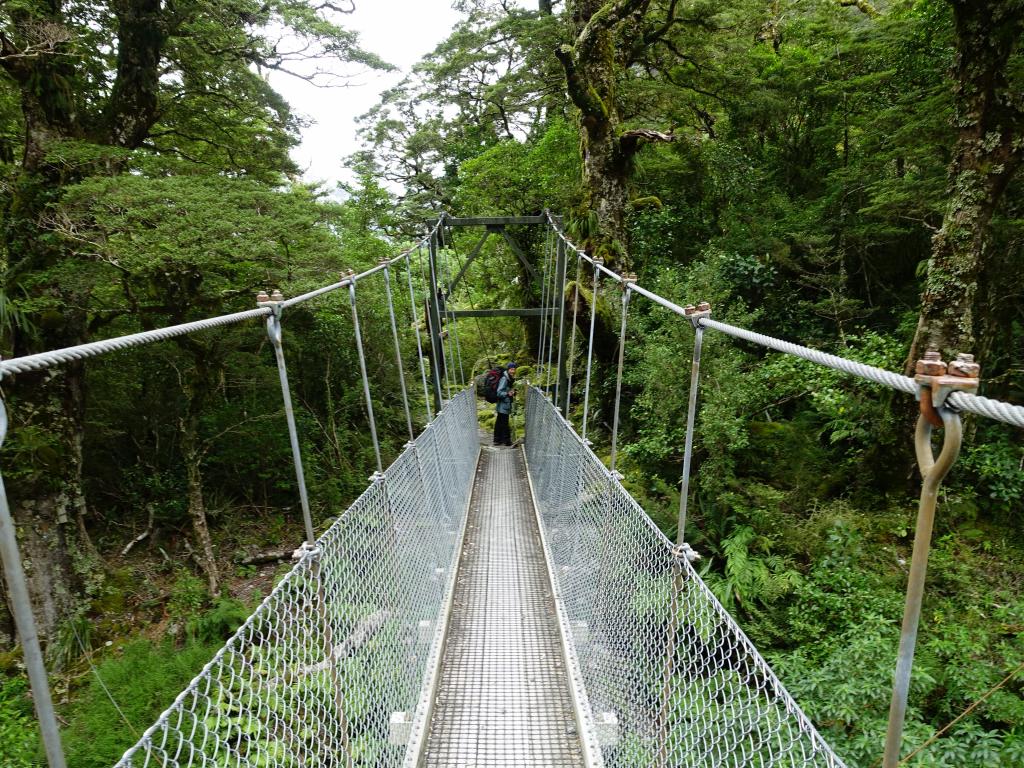 458 - 20150204 Milford Track