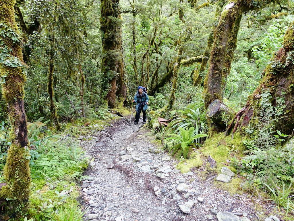 460 - 20150204 Milford Track