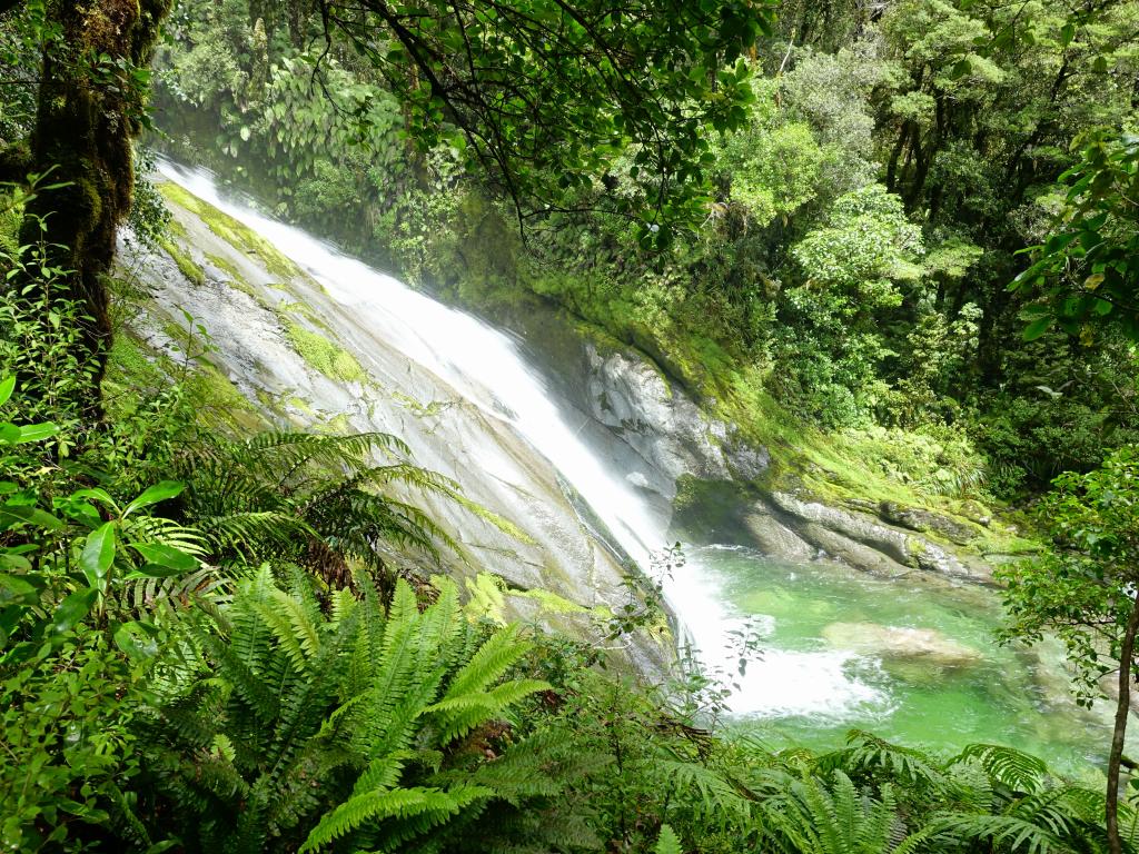 463 - 20150204 Milford Track