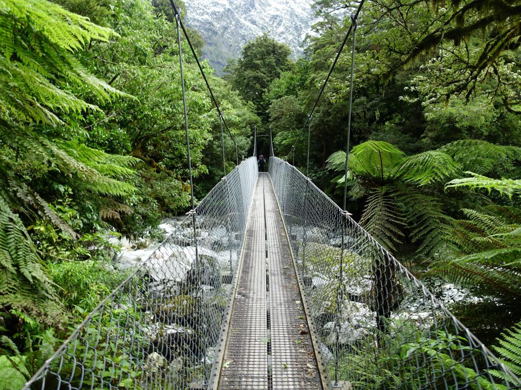 466 - 20150204 Milford Track