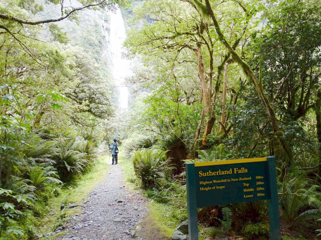 474 - 20150204 Milford Track