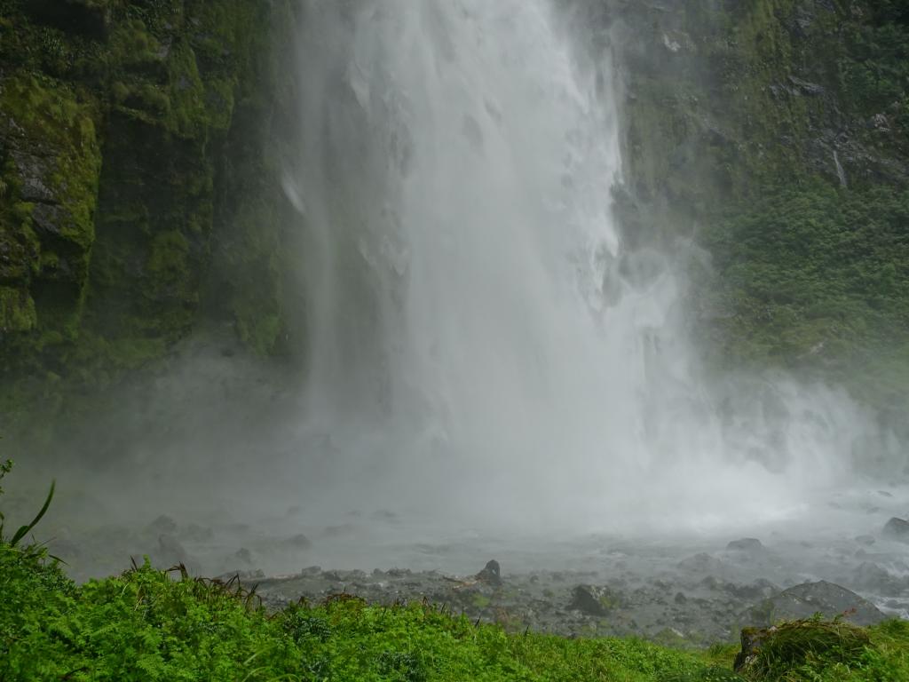 479 - 20150204 Milford Track