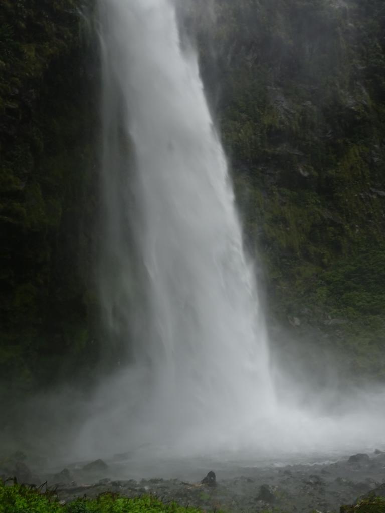 480 - 20150204 Milford Track