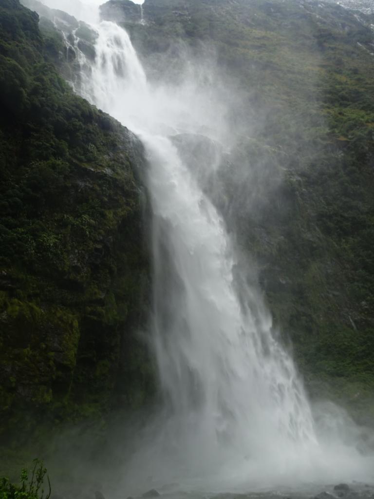 482 - 20150204 Milford Track