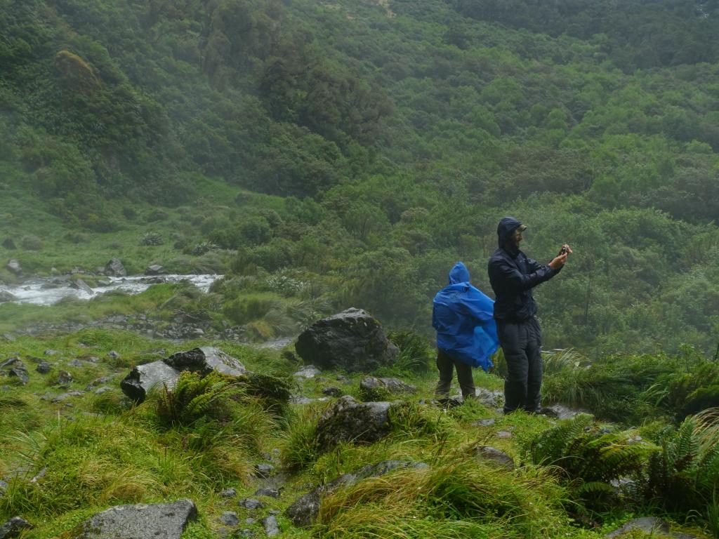 484 - 20150204 Milford Track