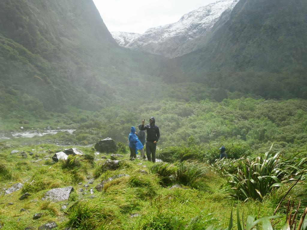 486 - 20150204 Milford Track