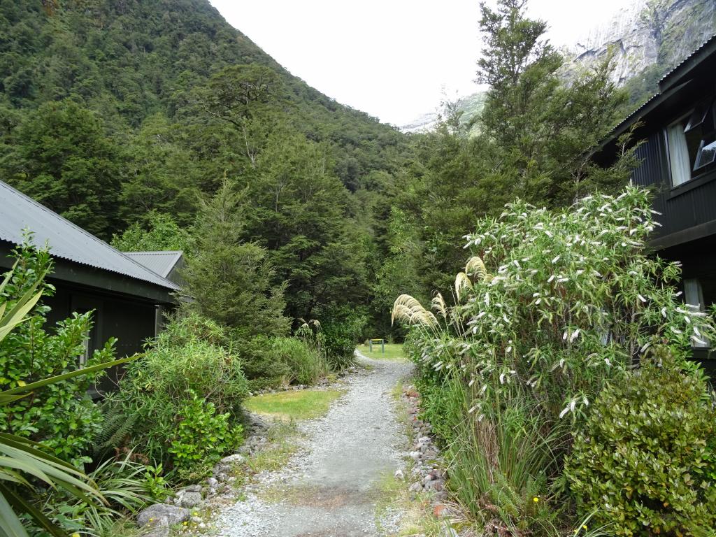 494 - 20150204 Milford Track