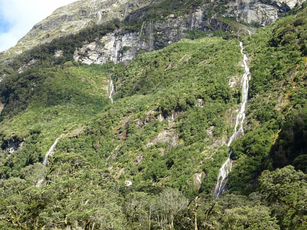 508 - 20150204 Milford Track