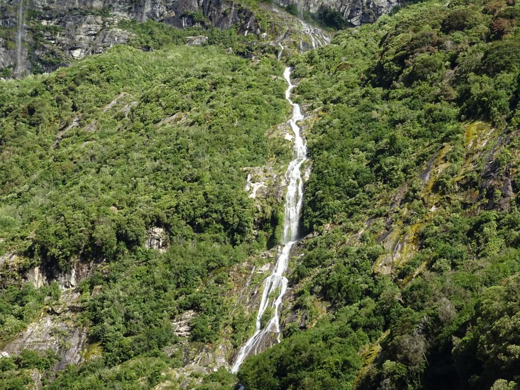 509 - 20150204 Milford Track