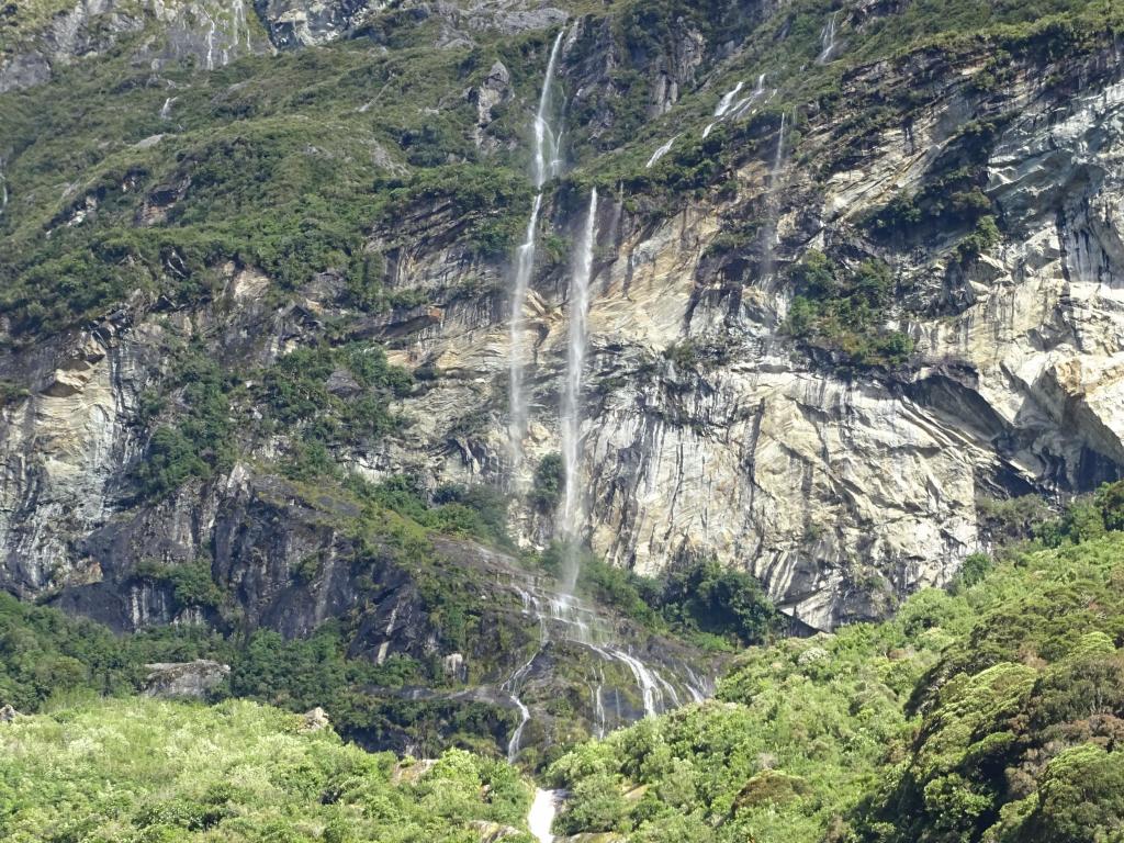 510 - 20150204 Milford Track