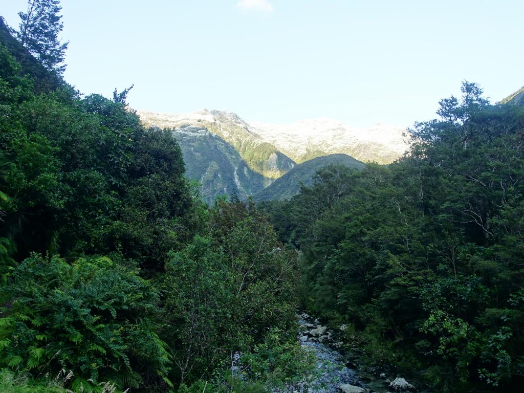 518 - 20150204 Milford Track