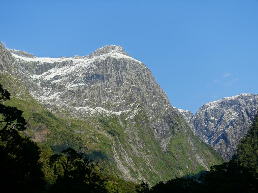 520 - 20150204 Milford Track