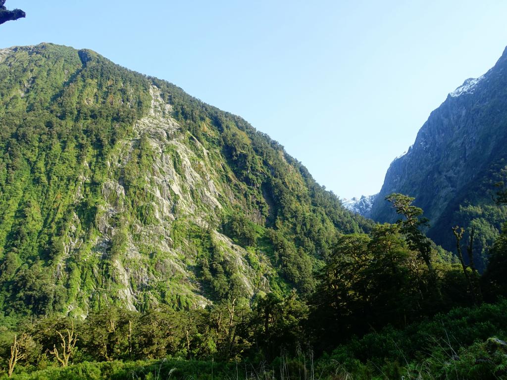 522 - 20150204 Milford Track