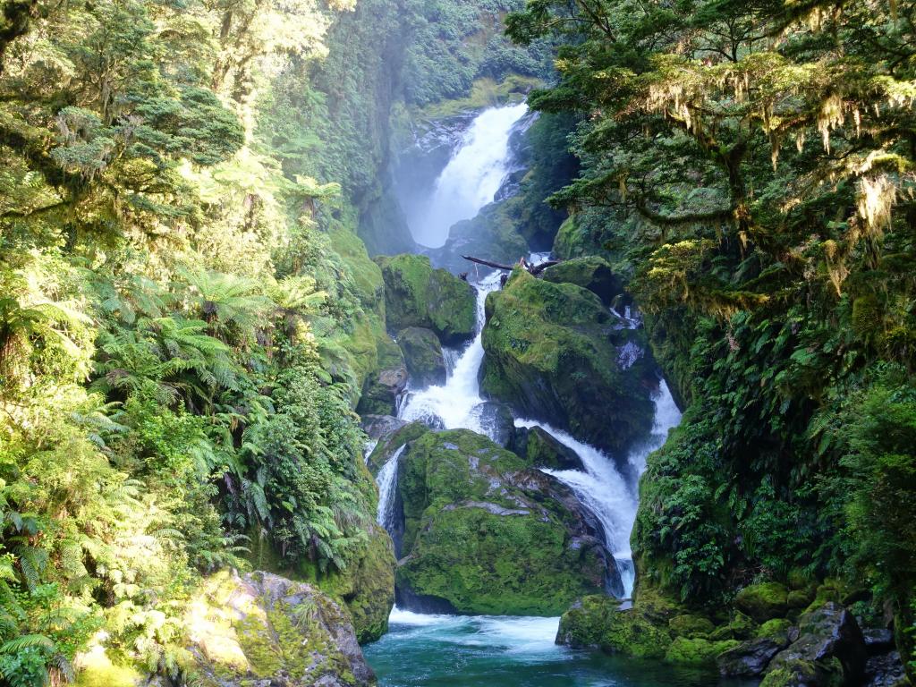 539 - 20150204 Milford Track