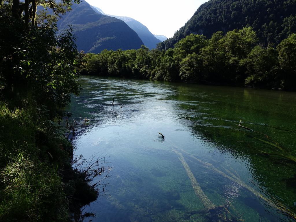 545 - 20150204 Milford Track