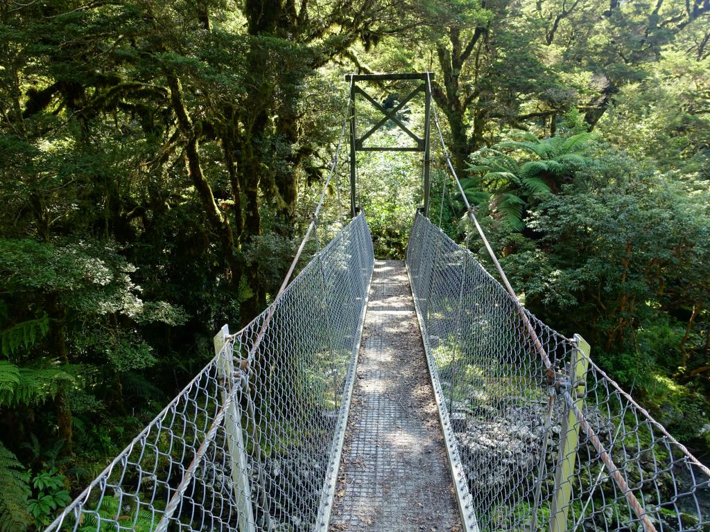 550 - 20150204 Milford Track